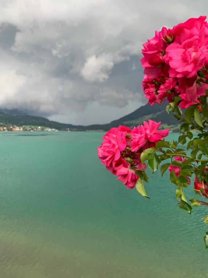 Hotel - Restaurant Eierhals Am Aegerisee Oberageri Bagian luar foto